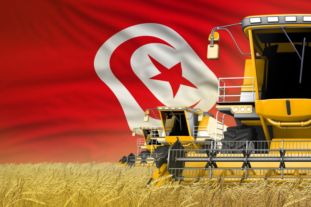 Moderní kombajn, na pozadí vlajka Tuniska na obilném poli, koncept předčasné sklizně obilí kvůli nepříznivému počasí